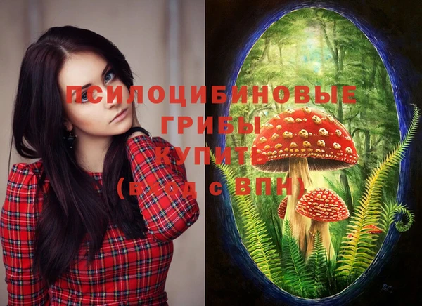 мефедрон Гусев